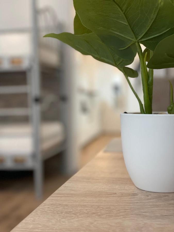 Flatprovider Hp Apartment Wien Eksteriør bilde